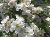 BF-Treffen_LG-20180505-0252-GaC-IMG_4096