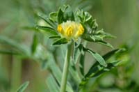 BF-Treffen_LG-20180505-0267-GaN_6262